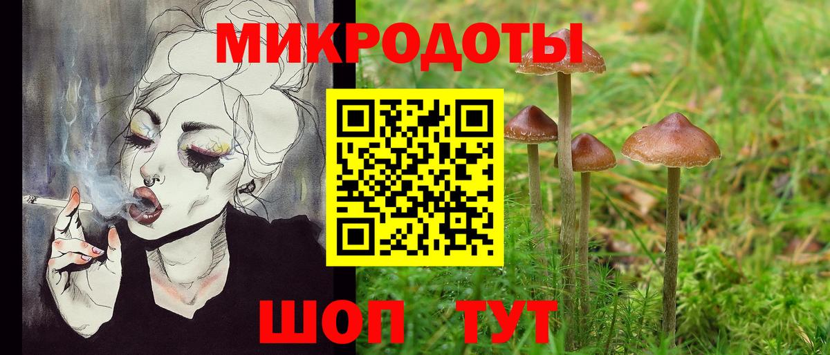Псилоцибиновые грибы Psilocybe  Псилоцибиновые грибы Cubensis  Сальск  Вход с VPN 