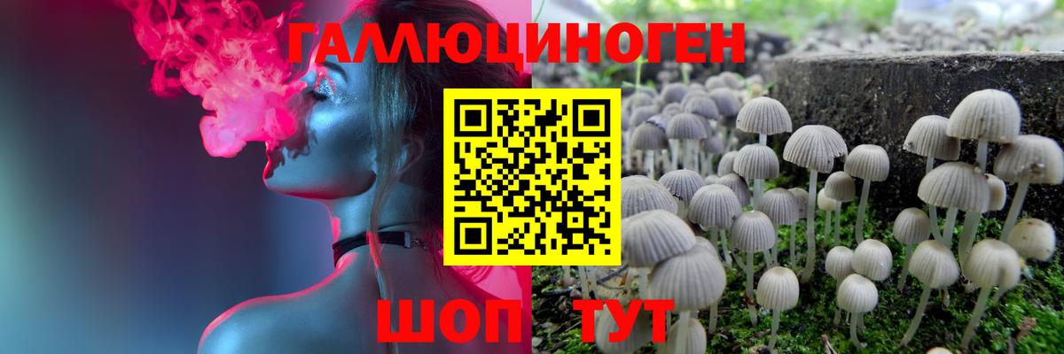 Конопля Сальск